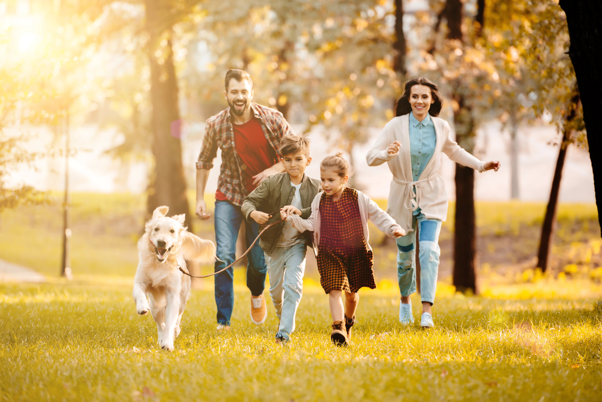 home loan refinance options